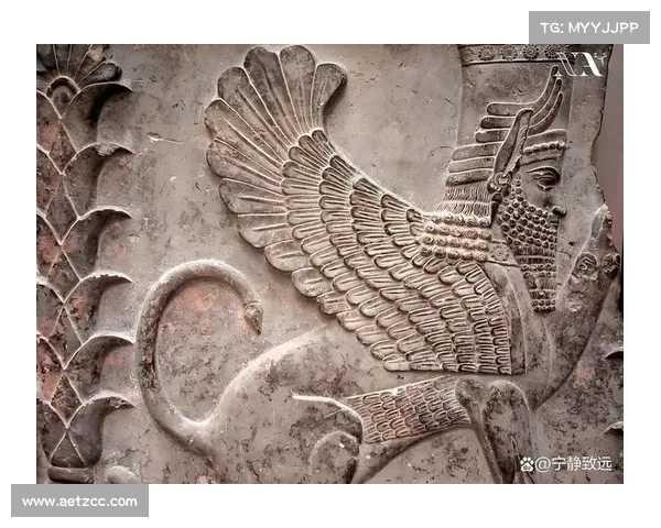 揭开埃弗拉传奇足球人生的谜团与奋斗历程探索