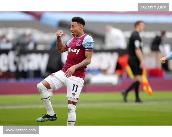 林加德调侃现象分析与应对策略探讨:文化差异与社会责任的双重视角